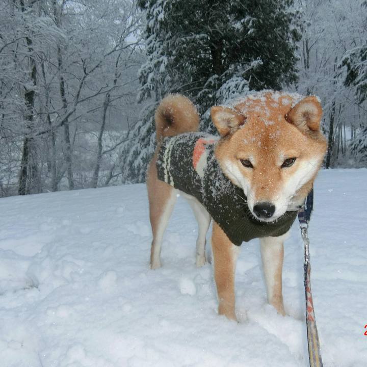 F2f021bd e175 4b30 aa96 546cc42492d6 1516612883495