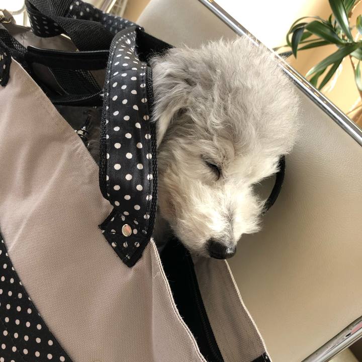 F2f02646 aa44 4da8 b07e 5c8d8eb745db 1578359956819