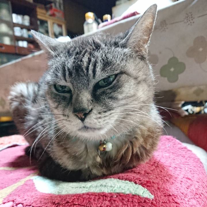 F2f02cc5 c77f 4233 b2e7 df5d3d0b6cf3 1601409948692