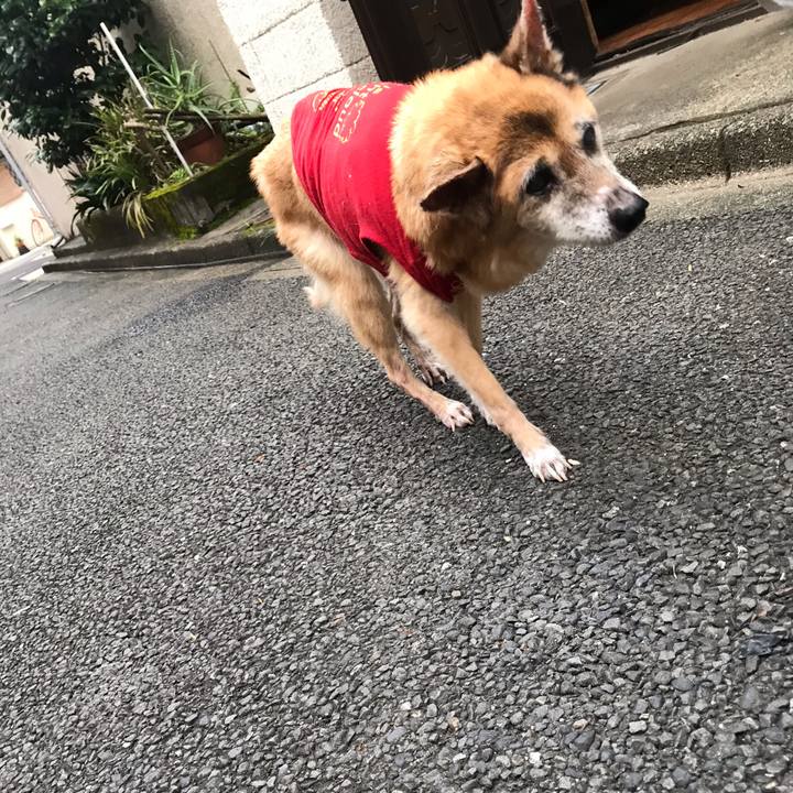 F2f02e7c a289 4dc9 835f 4e925a91752d 1568240184699