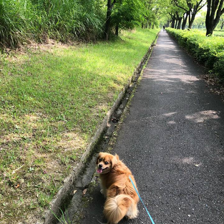 F2f07ce3 95a4 4270 8016 37125f4b1902 1561250186566