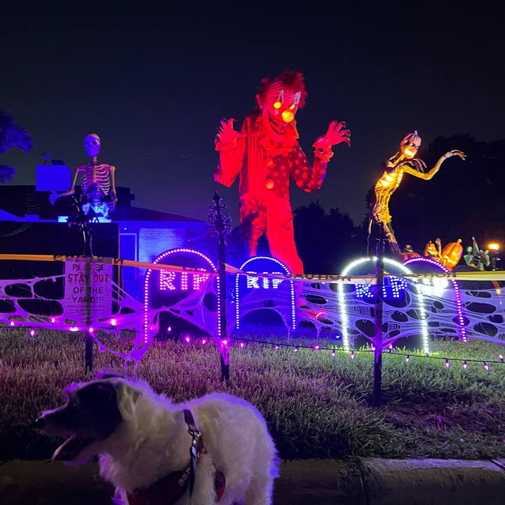 F2f084ea 9092 45e9 a1ea 61135d0fb5f7 1697849874260