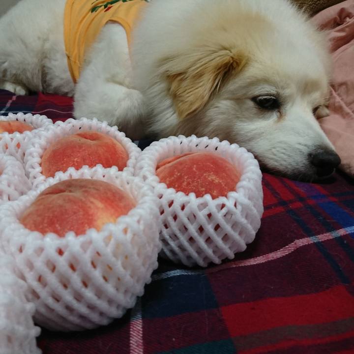 F2f08feb ee37 4093 9659 e6898a4fdb70 1533008782624