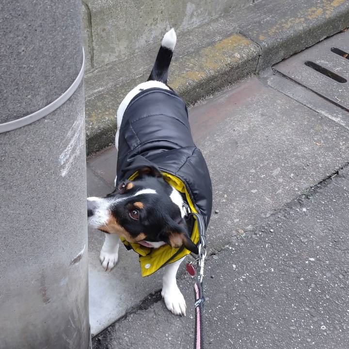 F2f0f33c 4329 46a7 a5d2 896d9664785f 1577324822422