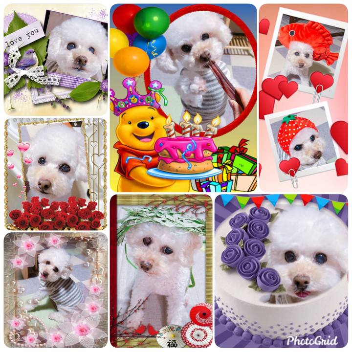 F2f13a32 7ac2 4555 87b5 14f535f7f9ec 1571670450176