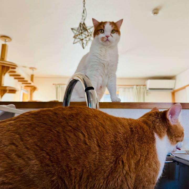 F2f15e30 d16b 4b2b 9f79 4c54303eaa3d 1766714913588