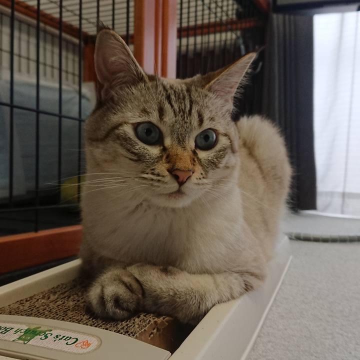 F2f19273 18ba 45f0 8380 70e0fe56c24b 1601794134571