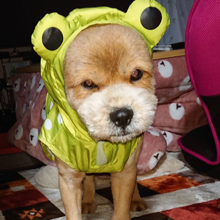 F2f19afc f793 41be 985a 9afaa588c18a 1554846164382