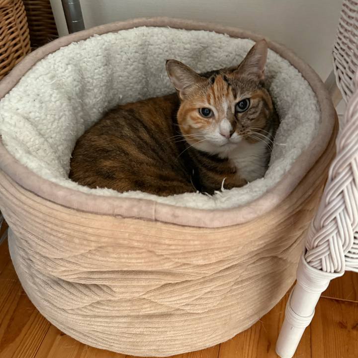 F2f19d42 1eae 4105 8d84 e97139e4b6b6 1769411515249