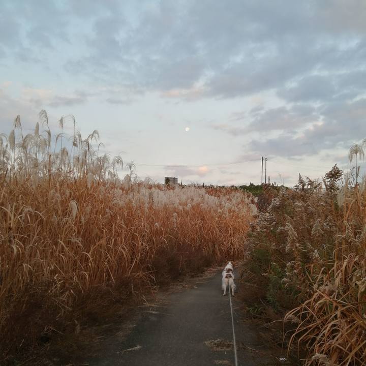 F2f1a9b3 8094 48e1 a825 6b119a2e3286 1576282433841