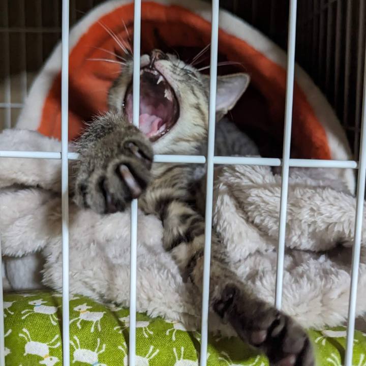 F2f1bc04 fb8b 415f 8040 3de361c62e94 1701837120860