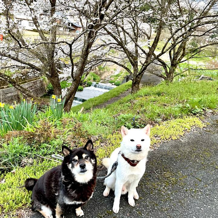 F2f1bc5e f901 468c b372 c18858e3e837 1680081268331