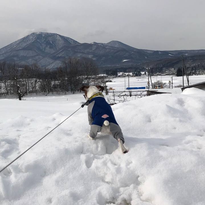 F2f1d707 e701 4fa3 99fc 7ea4c4208f2d 1547594932516