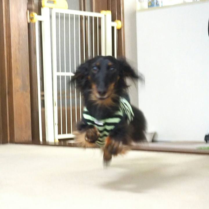 F2f1ebb6 8c43 4835 a797 03503ed08bd5 1525227015281