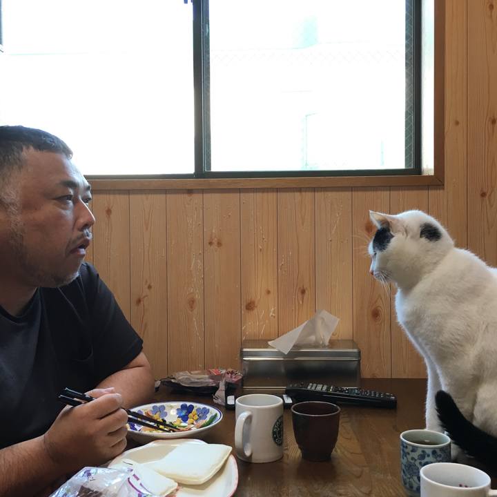 F2f20dba 7e7f 45f5 bdd8 66c2720a7cde 1509509477619