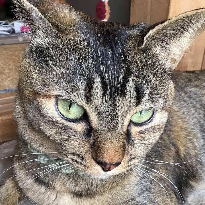 F2f256e8 4f30 4de3 b13f 9eae02535c3a 1646814307016