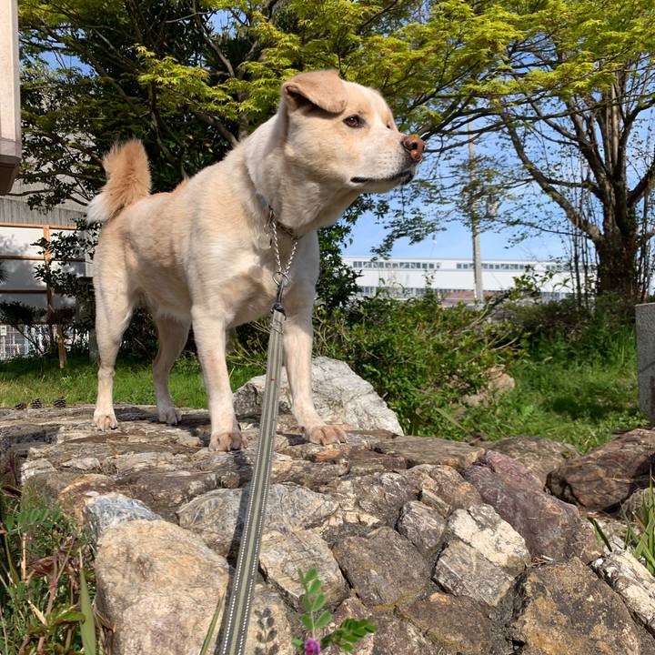 F2f286b5 cb13 4d94 8e03 4b5f8edd1729 1554427020231