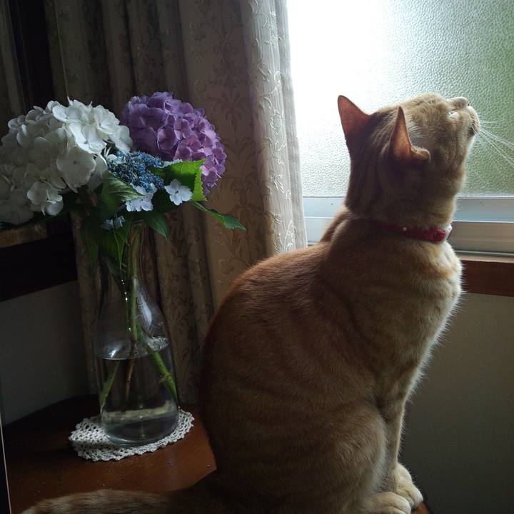 F2f294c9 fcdc 4084 857f d27c03878938 1717657882895