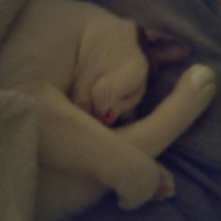 F2f298ea 7ea5 4dd3 a4d5 c459a30a4116 1761396246344