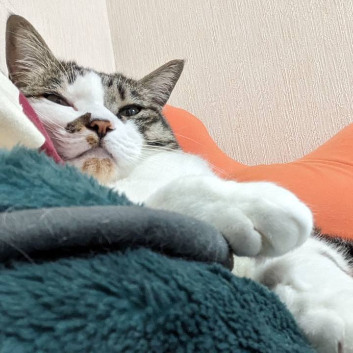 F2f2997a a0ce 4a25 81e7 c4f5194dc92b 1712207248929