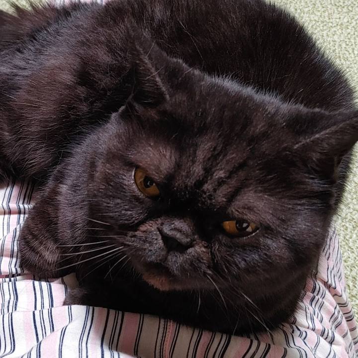 F2f328cb feac 44f6 b5bd a816ebbd9b91 1635583882603