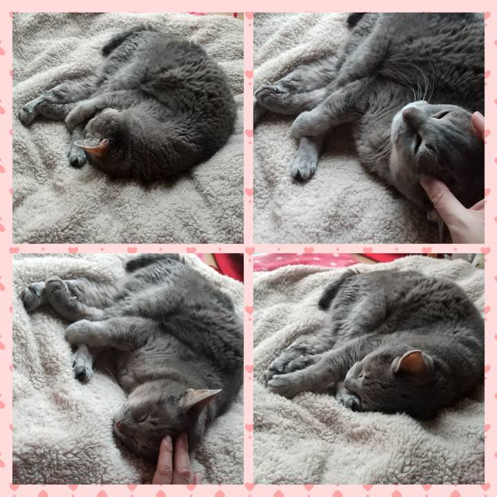 F2f3517c e450 4822 bbcf 24598402304e 1678600782205