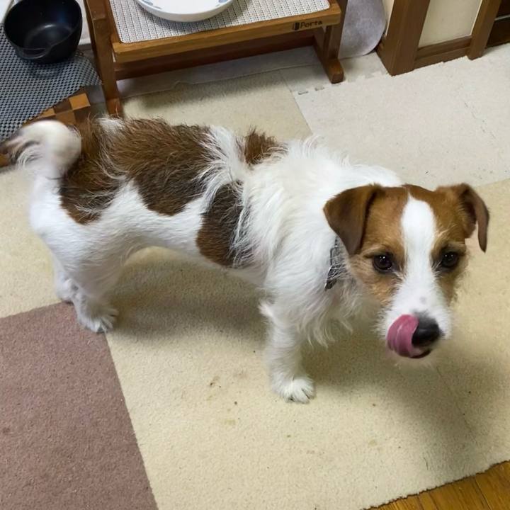 F2f3540f 4fa4 4b04 8336 b9a1f798cbf7 1723070734921