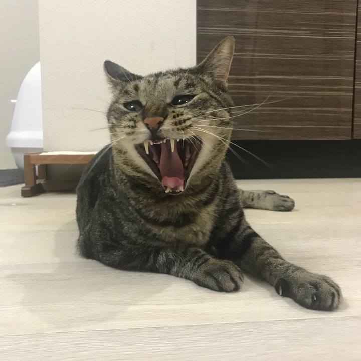 F2f39c91 bd4f 414f b363 81b0285b9de3 1533441137719