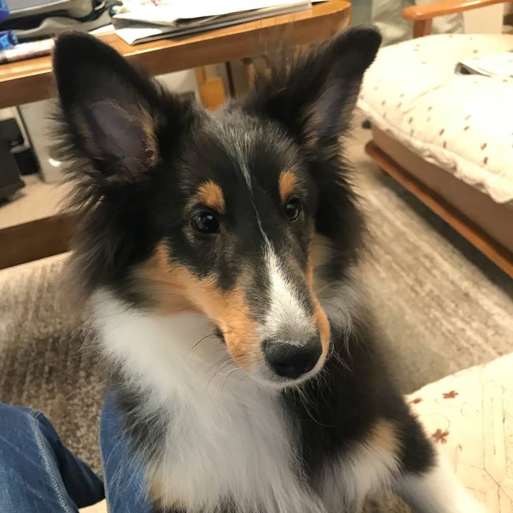 F2f3bce8 e808 4e1f 916e 7a25f00f6fd7 1517263603903