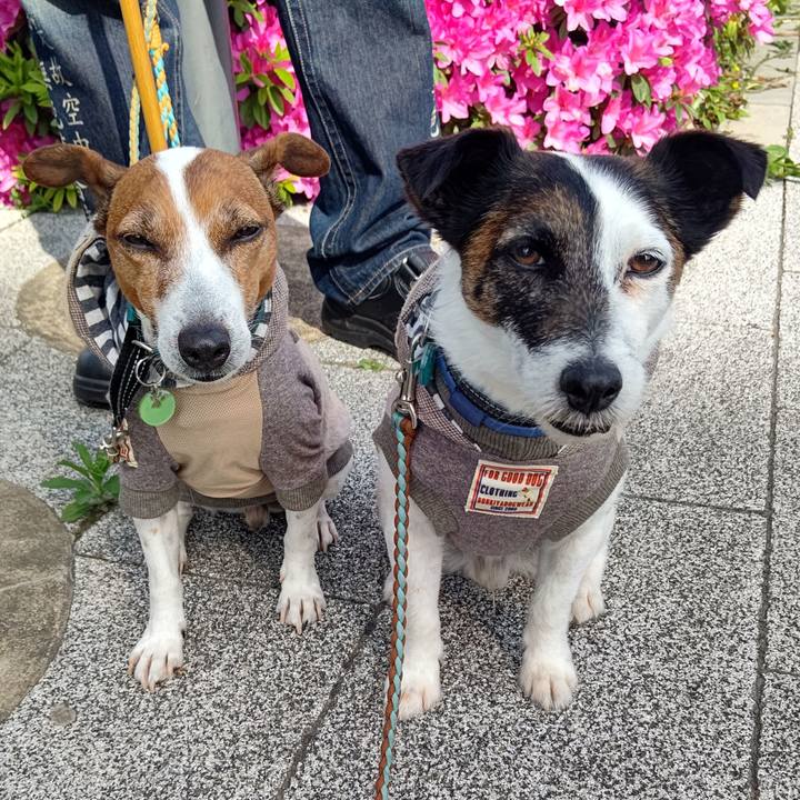 F2f40265 b535 4287 a77e ddf8c6d65229 1714347008057