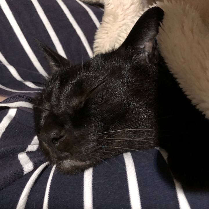 F2f412ac 35b9 4e15 8c36 2a2a2d48859b 1725141264678