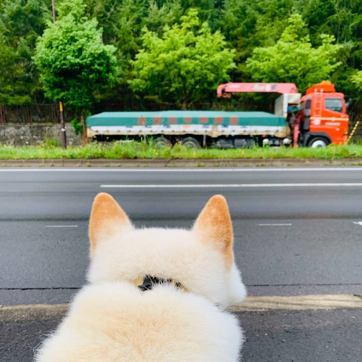 F2f437f5 7559 46e9 9e37 ed210b24891c 1601501754683