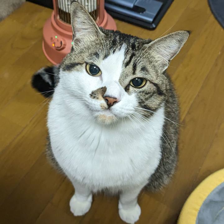 F2f457e4 831d 4f6e b8bd febe922d4a3a 1671015488942