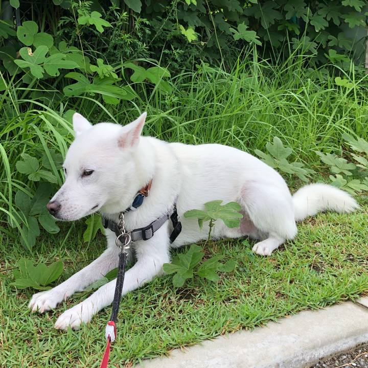 F2f4be45 7783 491b b654 937cddf5dac9 1567556747499