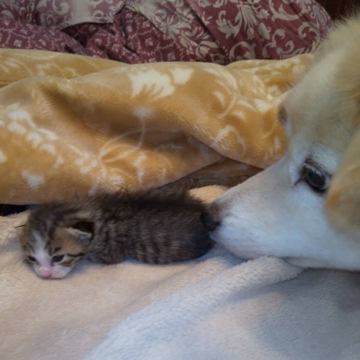 F2f4f388 5c69 4d3d 9295 c499096b80de 1570701880552