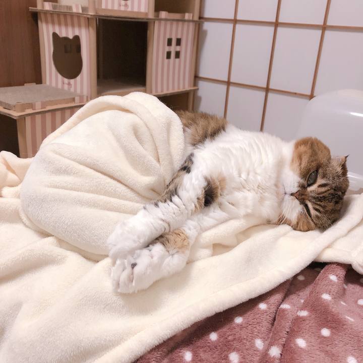 F2f4fbe9 57e3 433a 9dd7 d37ea4ff9ca6 1606351219275