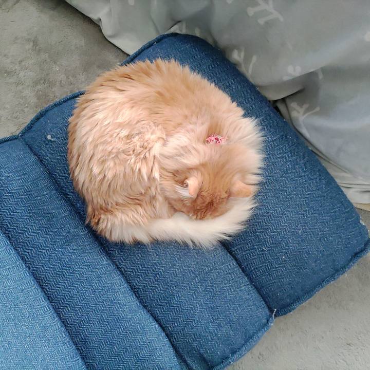 F2f52899 e693 40d3 961f 769e1ea75a23 1677387472425