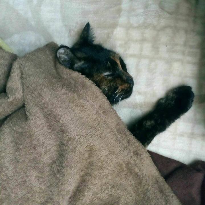 F2f5317c 3fcd 4be8 a55d 9a4b37376f2c 1550550875131