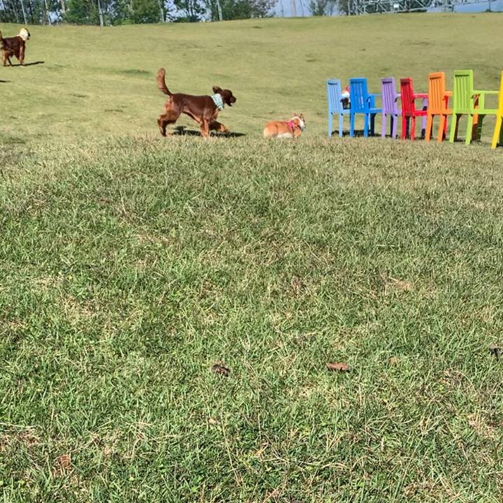 F2f56c6d 98b6 45a7 bacd 7d29633899eb 1634706115034