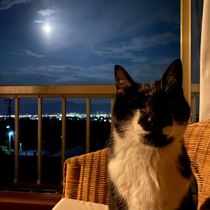 F2f57995 a5e3 421c b17f 6691a65d9495 1698402296810