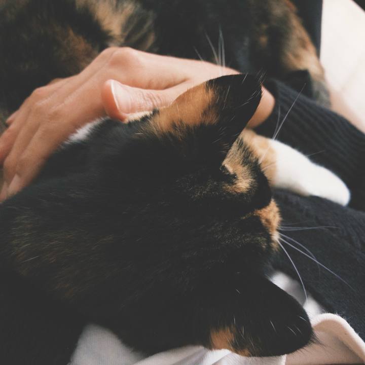 F2f57f36 c82e 42ad bbf2 e9e1bb9ea969 1760177774136