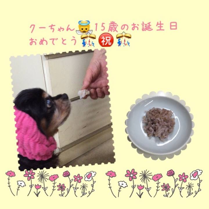 F2f5b089 efc7 41db 9817 a1fd2b39b80d 1525584746124