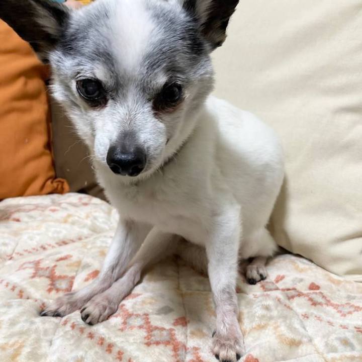 F2f5b316 eaef 4f6b a8e7 e79bb840f378 1709965002746