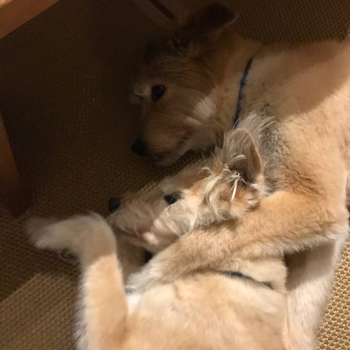 F2f5d041 d901 42aa 9da8 15e460055c8c 1597808781207