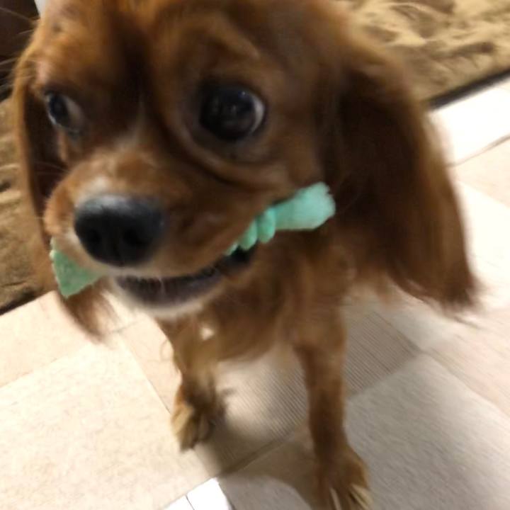 F2f5da38 97b0 46f4 ad69 7fa4a52d9c26 1563807760148