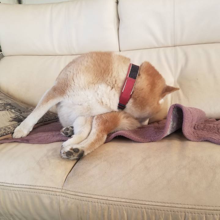 F2f5e0c9 2a1a 4259 baed f1a4a29a9c3d 1742859653993