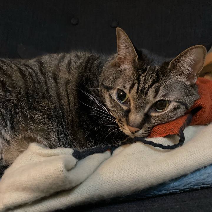 F2f60218 c702 4869 b734 3c35ff15242e 1615470142523