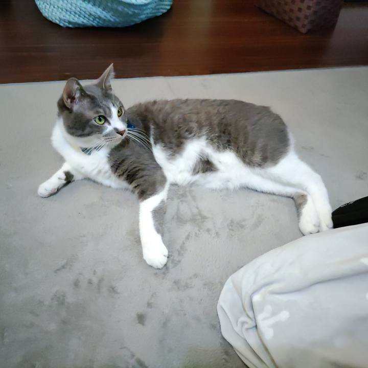 F2f64c6d acf8 40c0 bea8 92dd34e6fe5d 1699400227979