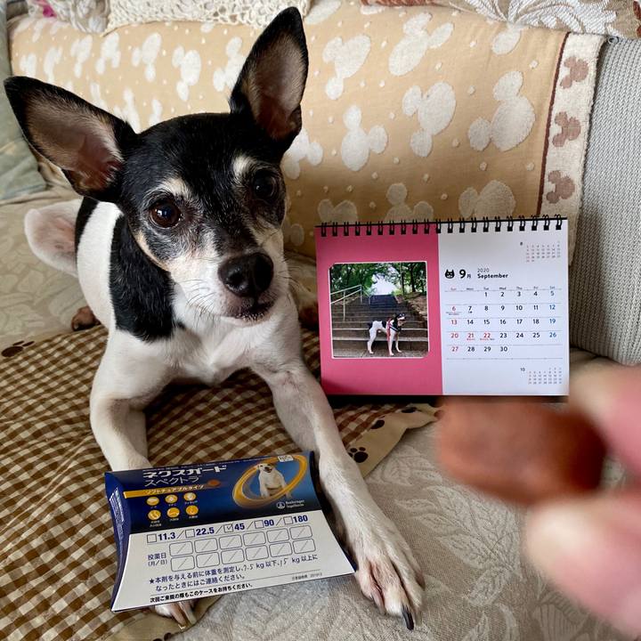 F2f65ece cc56 4fe7 84a4 ce349e5eb3e3 1598914891388