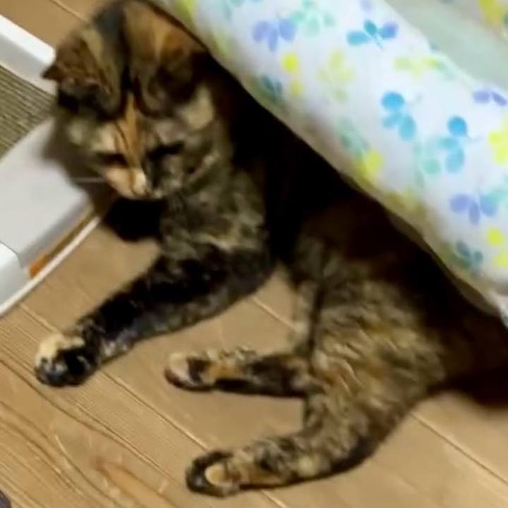 F2f669a9 05e7 4b19 8d91 7c03139ee81a 1730748103088